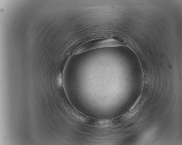 X0000068810095200605121301