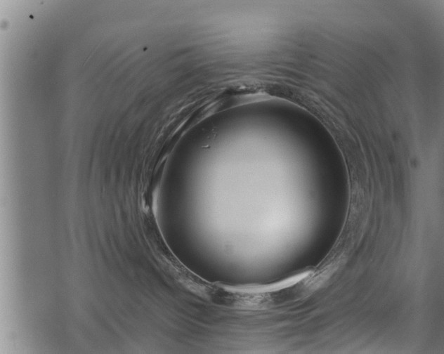 X0000068810096200605121301