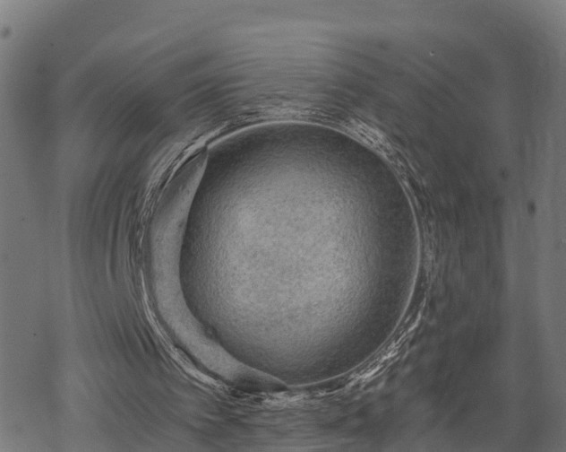 X0000068810097200605121301