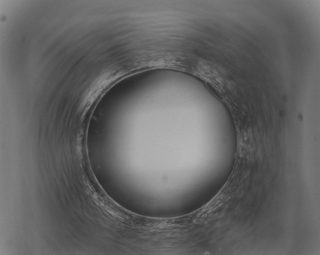 X0000068810098200605121301