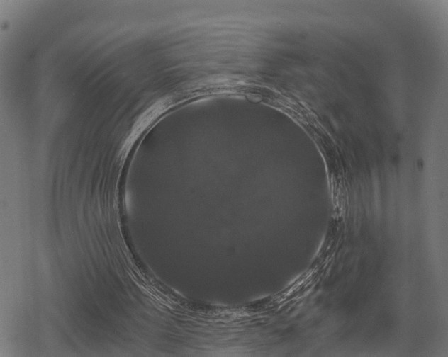 X0000068810099200605121301