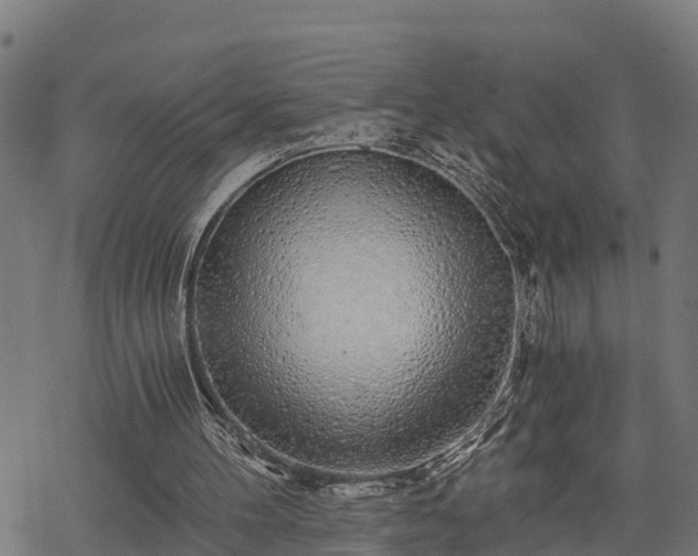 X0000068810100200605121301