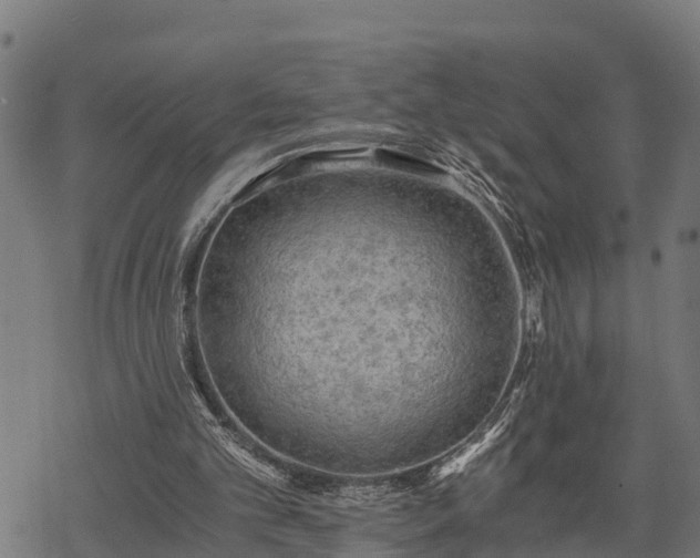 X0000068810101200605121301