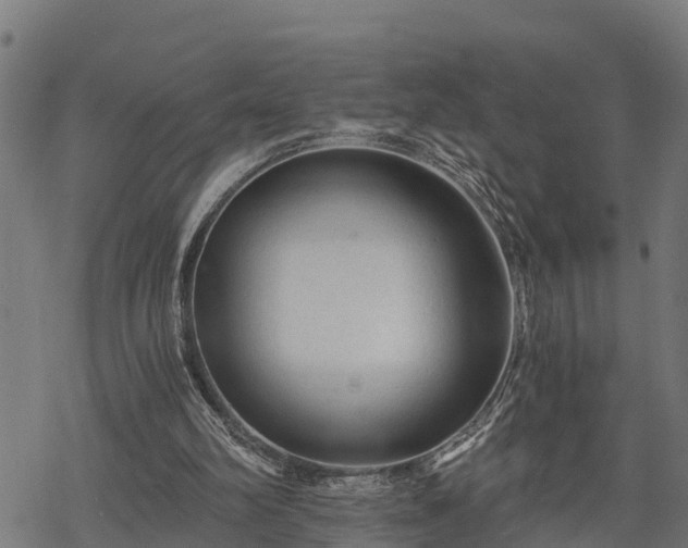 X0000068810102200605121300