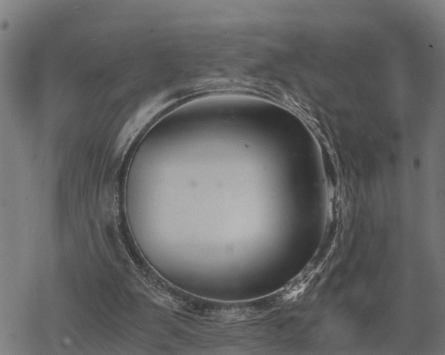 X0000068810103200605121300