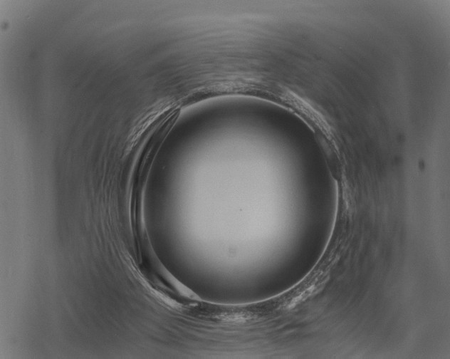 X0000068810105200605121300