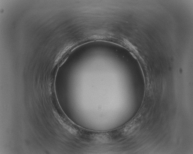 X0000068810106200605121300