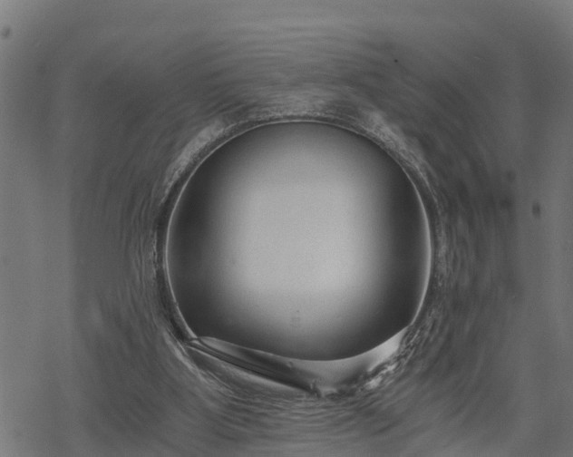 X0000068810107200605121300