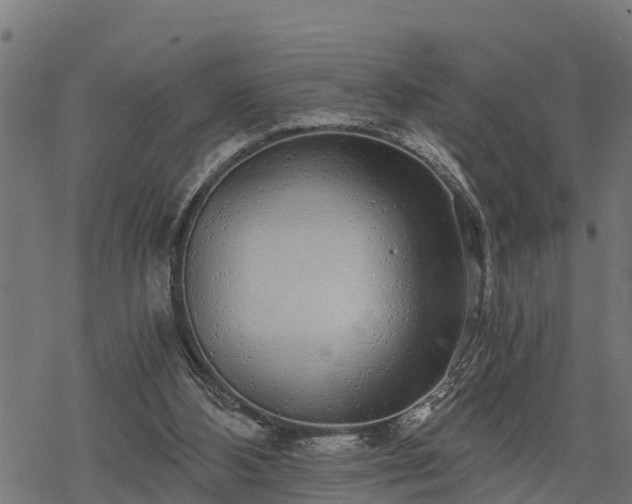 X0000068810108200605121300