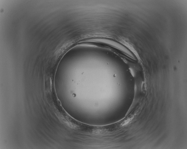 X0000068810109200605121300