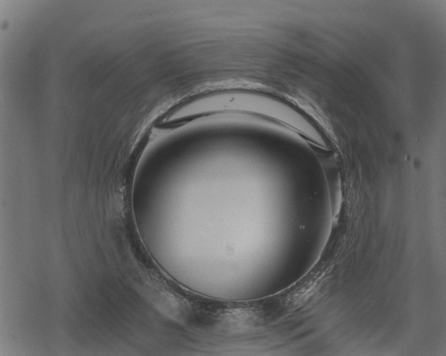 X0000068810111200605121300