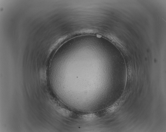 X0000068810112200605121300