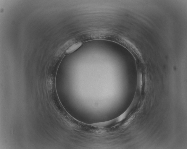 X0000068810113200605121300