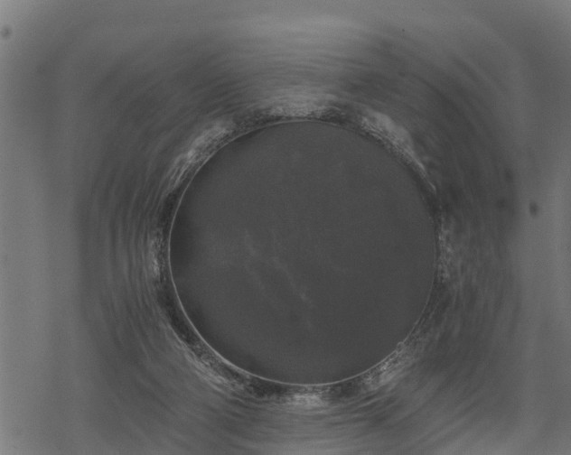 X0000068810114200605121300