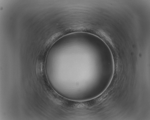 X0000068810115200605121300