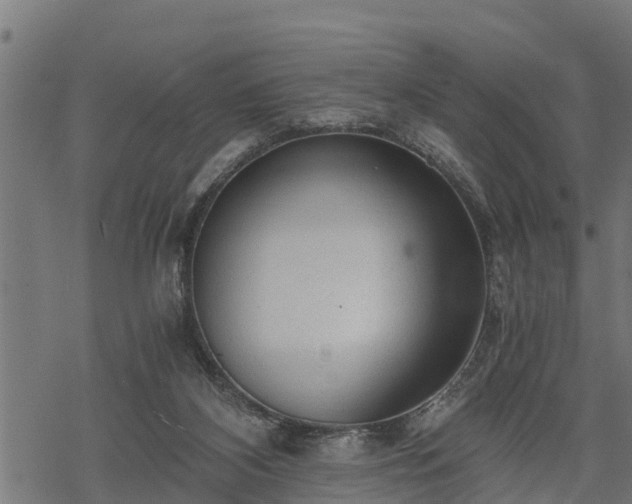 X0000068810116200605121300