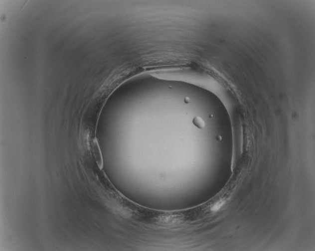 X0000068810117200605121300