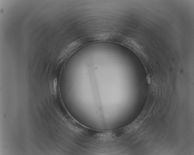 X0000068810118200605121300