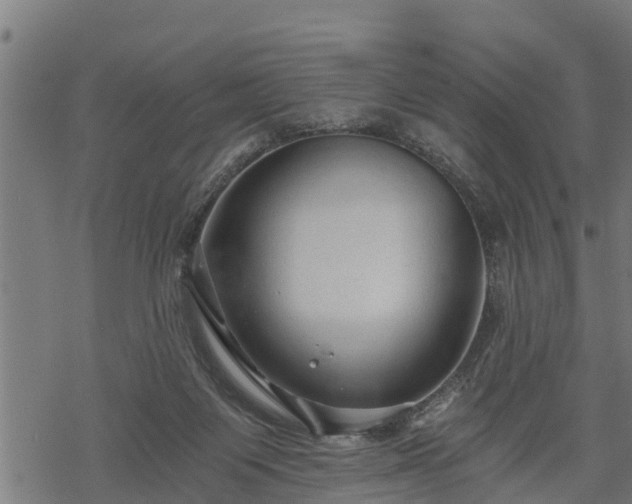 X0000068810119200605121300