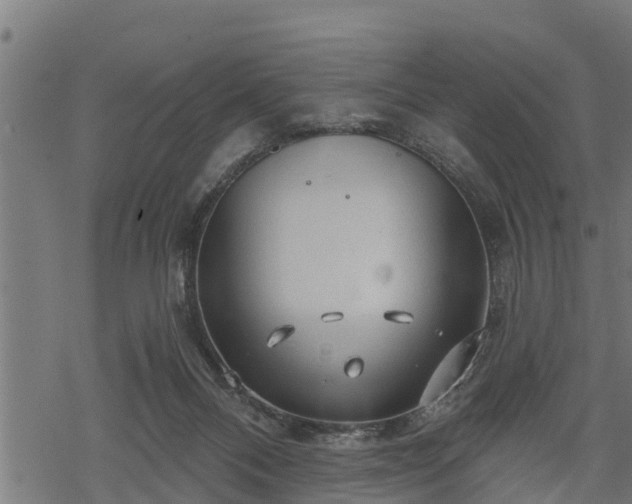 X0000068810120200605121300