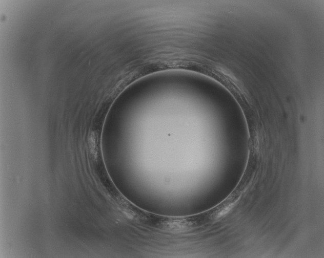 X0000068810121200605121300