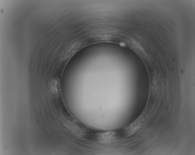 X0000068810122200605121300