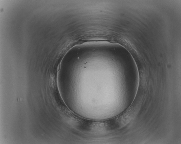 X0000068810123200605121300