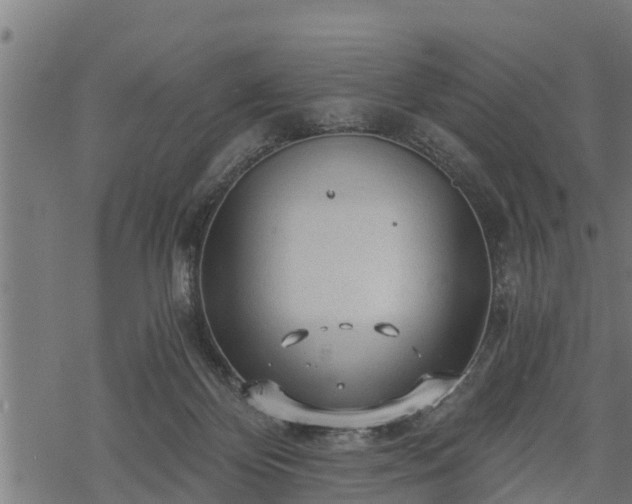 X0000068810124200605121300