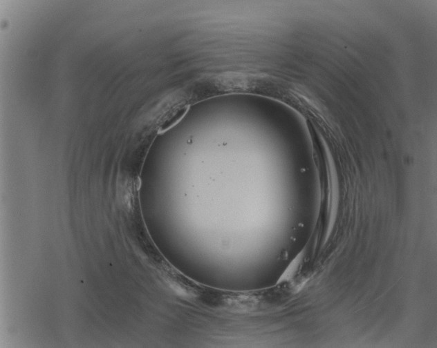 X0000068810125200605121300