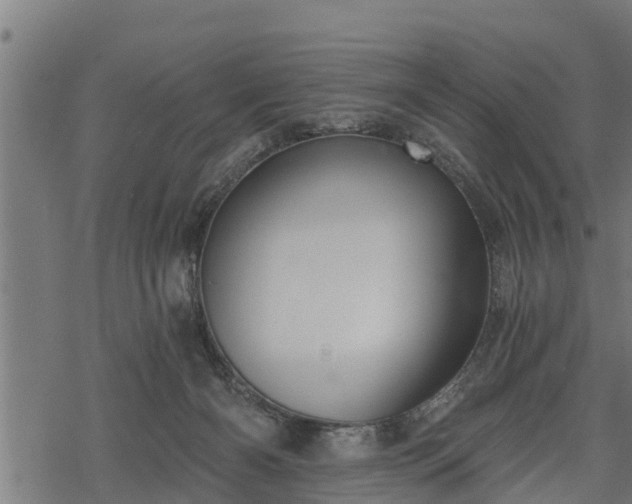 X0000068810126200605121300