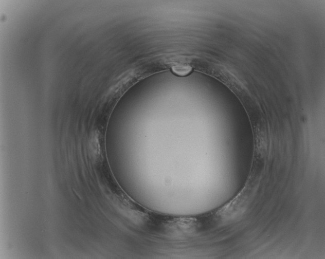 X0000068810128200605121300