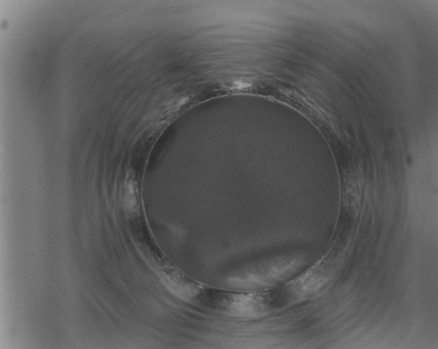 X0000068810130200605121300