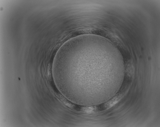 X0000068810131200605121300