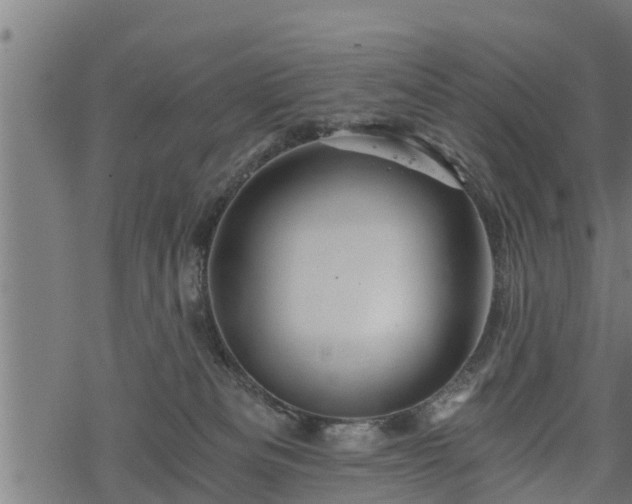 X0000068810133200605121300