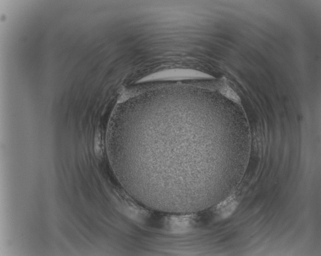 X0000068810134200605121300