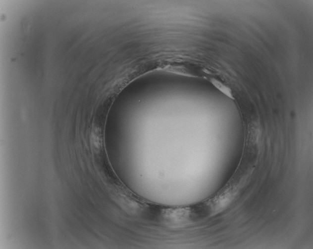 X0000068810135200605121300