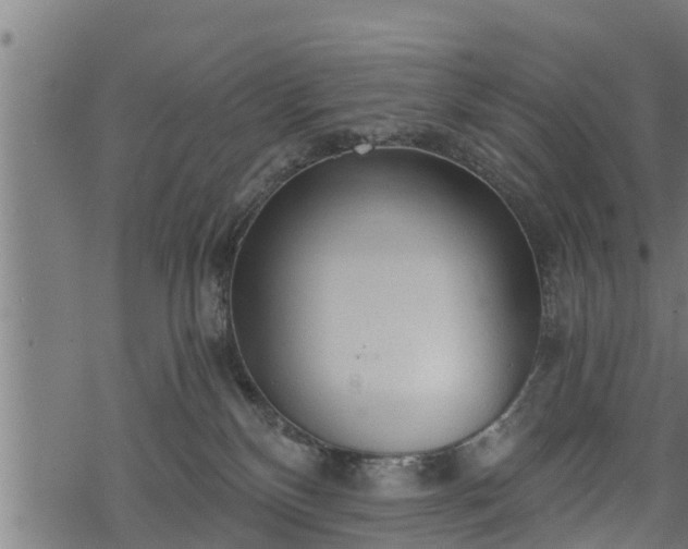 X0000068810136200605121300