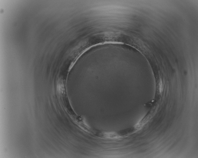 X0000068810137200605121300