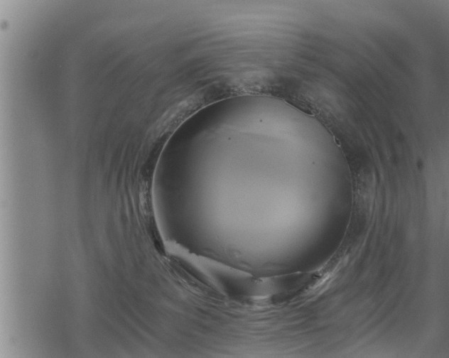 X0000068810139200605121300