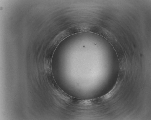 X0000068810140200605121300