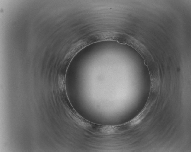 X0000068810142200605121300