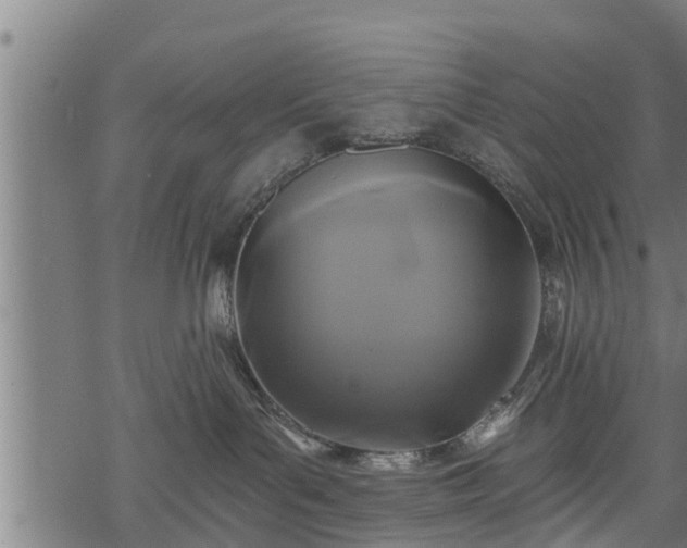 X0000068810143200605121300