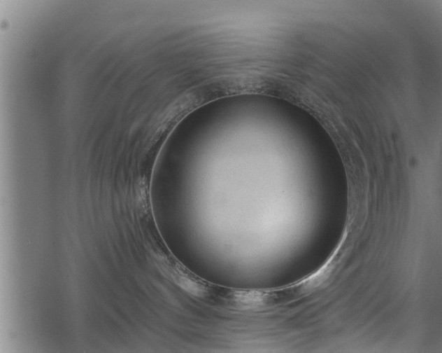 X0000068810144200605121300