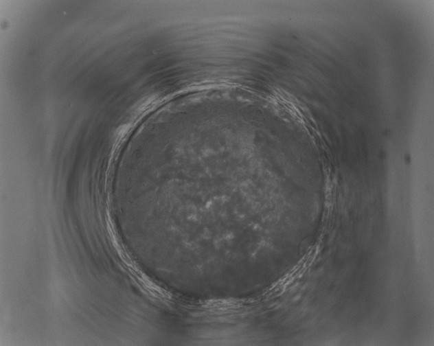 X0000068810145200605121259