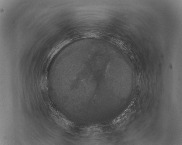 X0000068810146200605121259