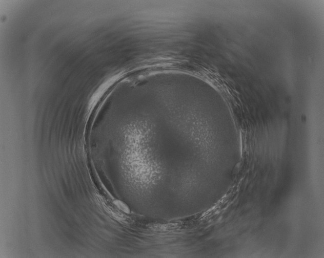 X0000068810147200605121259