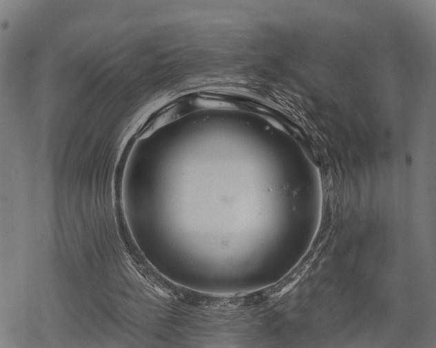 X0000068810148200605121259