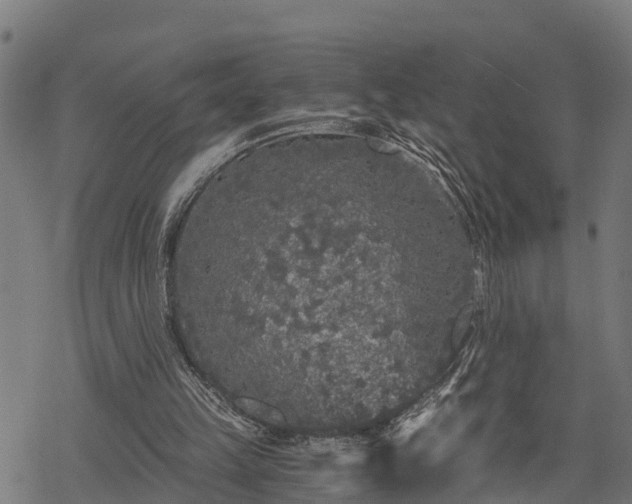 X0000068810149200605121259