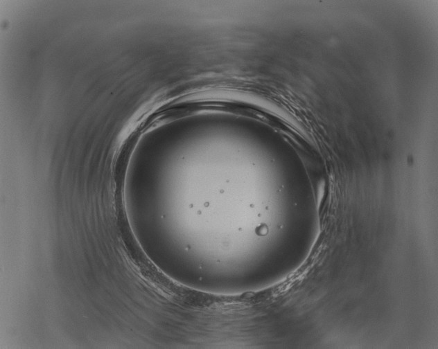 X0000068810150200605121259