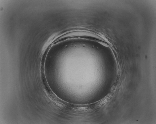 X0000068810151200605121259